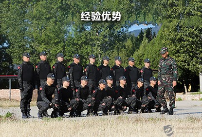 首页插图26