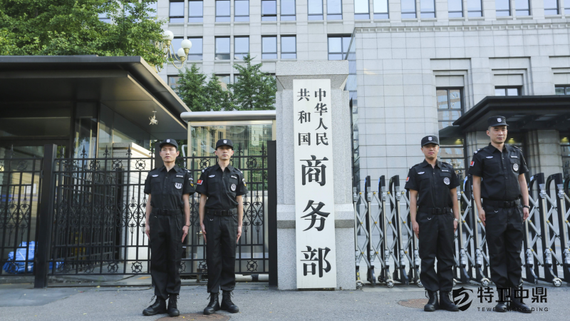首页插图35